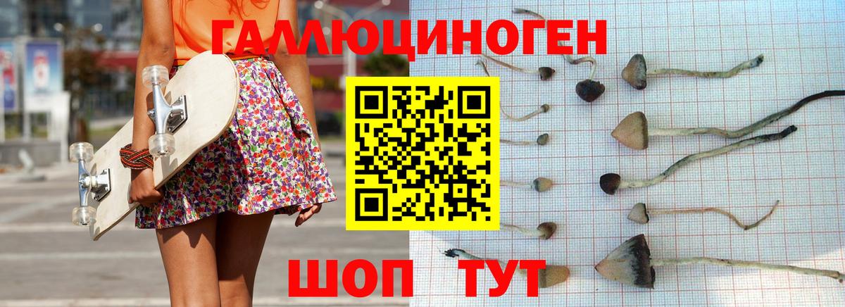 Галлюциногенные грибы прущие грибы  Вход с VPN  даркнет сайт  Галлюциногенные грибы MAGIC MUSHROOMS  Кумертау 
